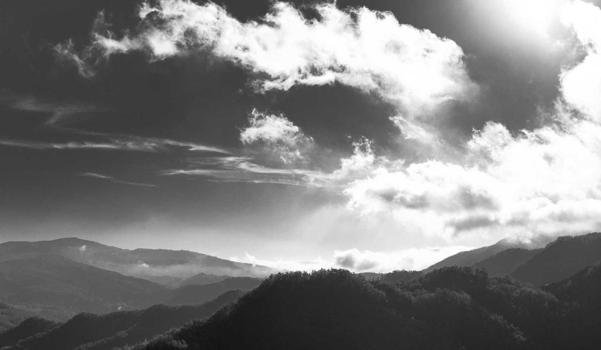 Barber Tiến High-End Fade 2026