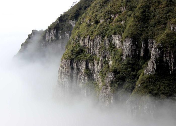 Buổi workshop nghệ thuật rêu