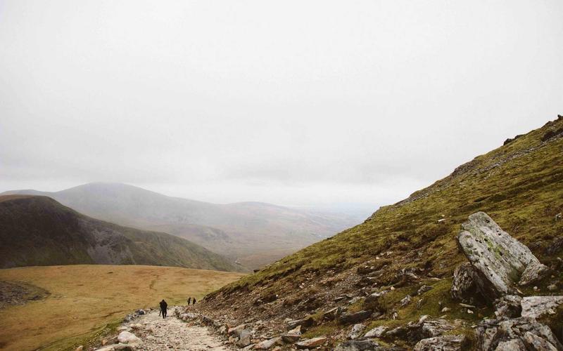 Cảnh quan Safari nhìn từ drone 2026