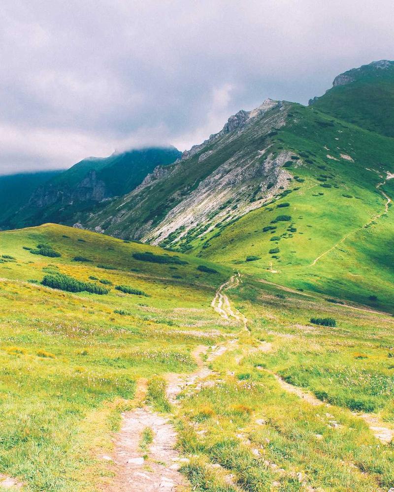 Không gian Dice & Drink 2026