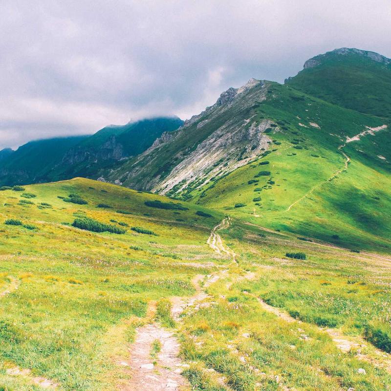 Túi Xách Da Công Sở Classic 4