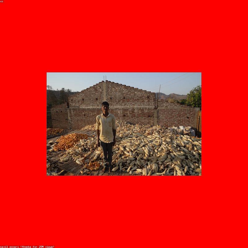 Áo Sơ Mi Linen Cổ Trụ Premium