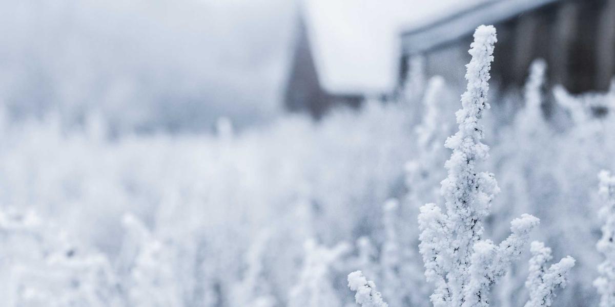 Kawaii Lifestyle 2026