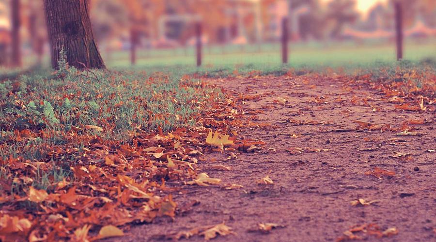 Thiết kế máy tính bảng 2026