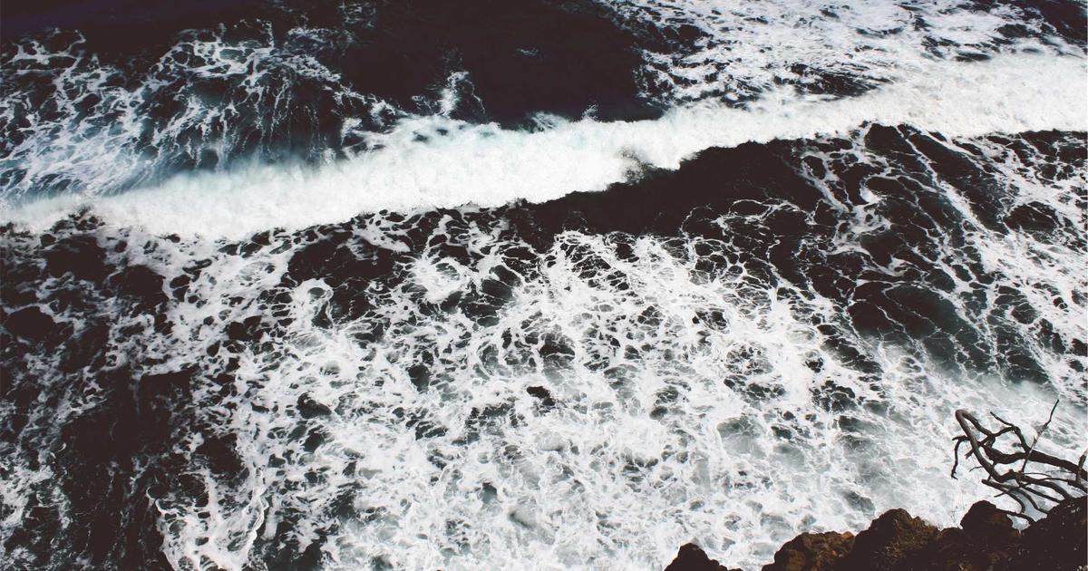 2.500 tỷ đồng được rót vào hạ tầng số: Bước ngoặt mới cho thị trường EdTech Việt Nam 2024