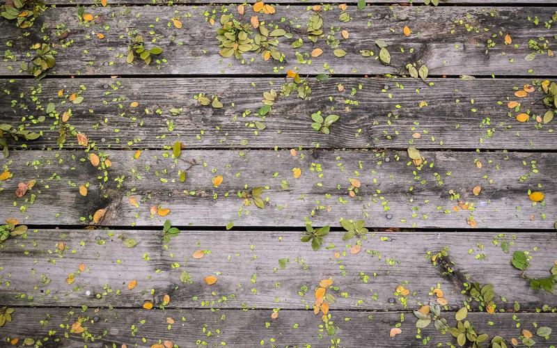Layered Smoothie Bowl