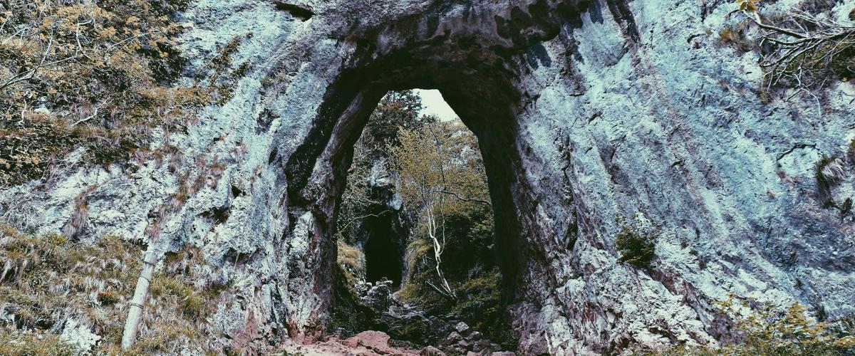 Công nghệ quét 3D thực phẩm