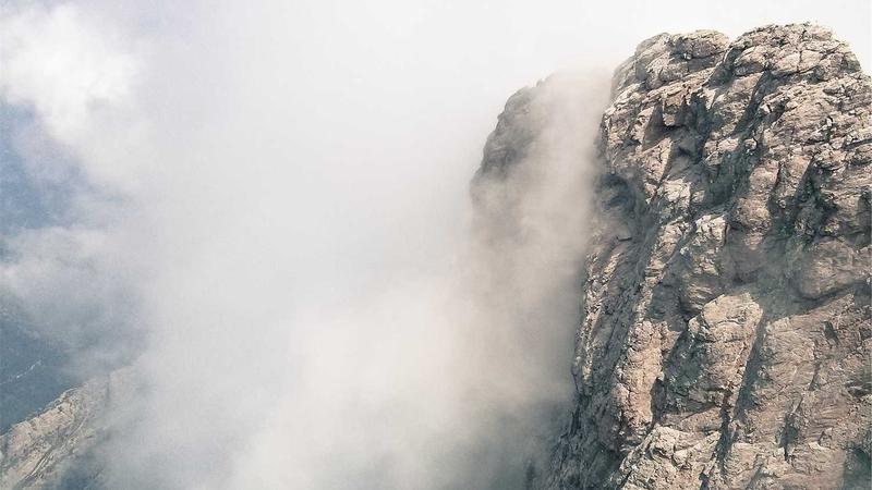 Dinh dưỡng thú cưng 2026