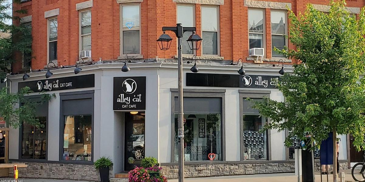 Các loại cuộn film phổ biến