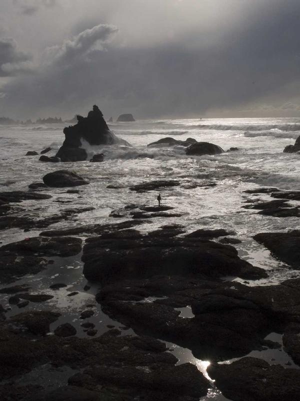 Showroom The Royal Tailor