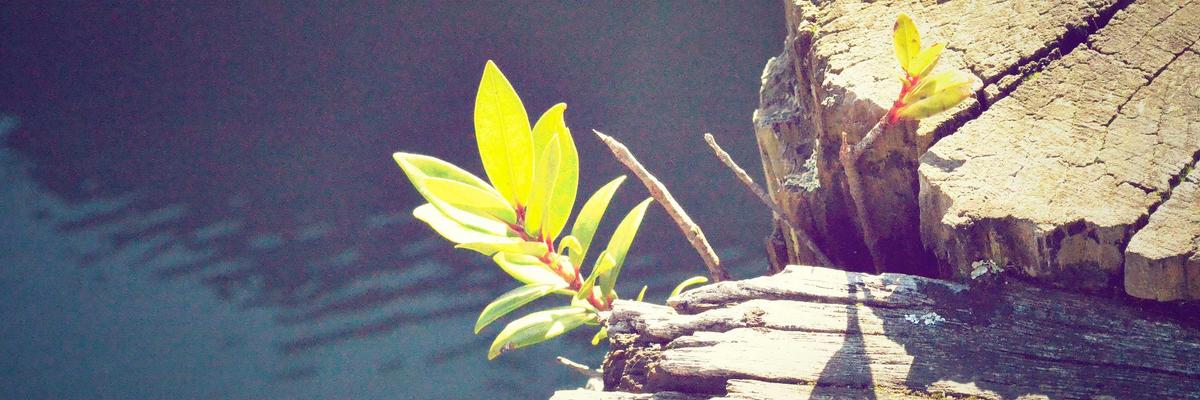 Hạ tầng y tế hiện đại 2026