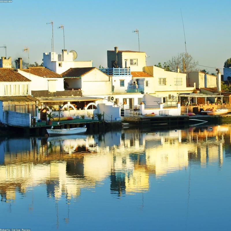 Chi tiết da bò thật