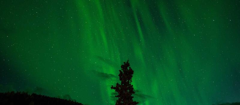 Professional Software Development Services 123 Dev