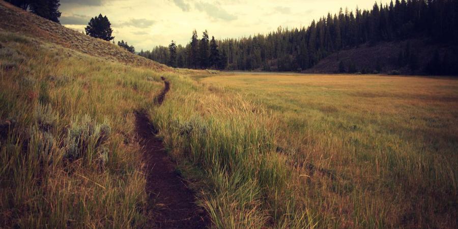 Rủi ro tài sản ảo M&A