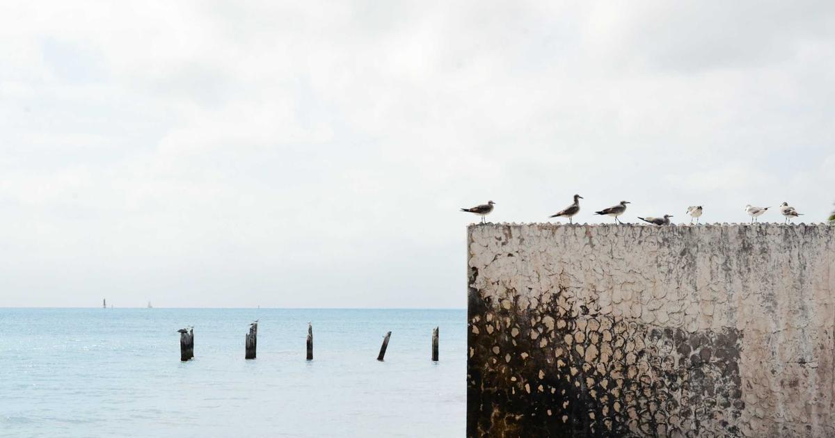 Hướng dẫn 5 bước thiết kế website tự động chuyên nghiệp với công nghệ AI BrandBoost