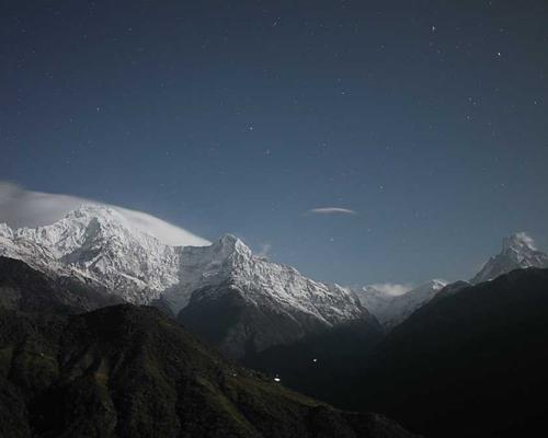 Cánh đồng cỏ bàng