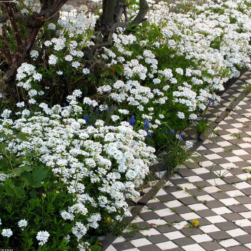 Két sắt vân tay mini SafeBox S1