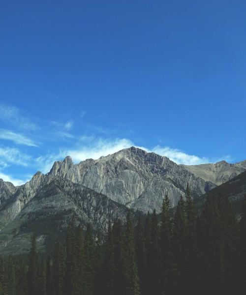 Metaverse Fashion 2026