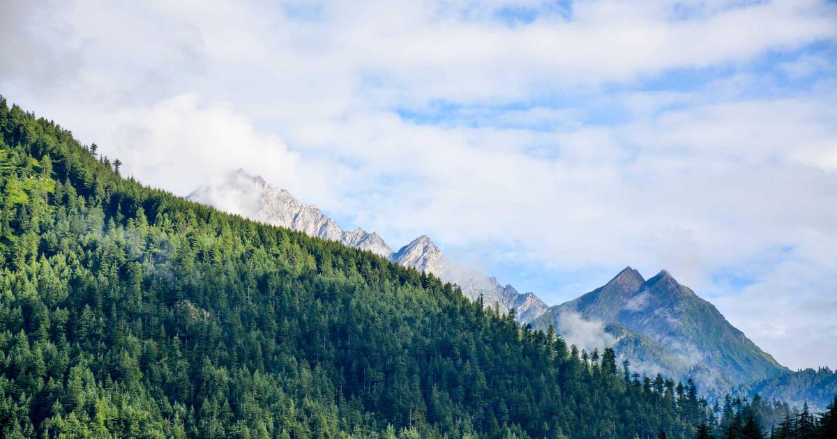 Phối Hợp Sofa Da Ý Và Thảm Ba Tư Sao Cho Đẳng Cấp?