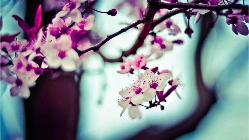 Creative Web Aesthetics