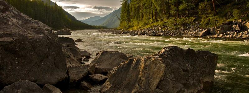 Sự kiện Jelly Keyboard 2026