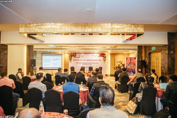 Túi đựng laptop và phụ kiện công nghệ chuyên nghiệp