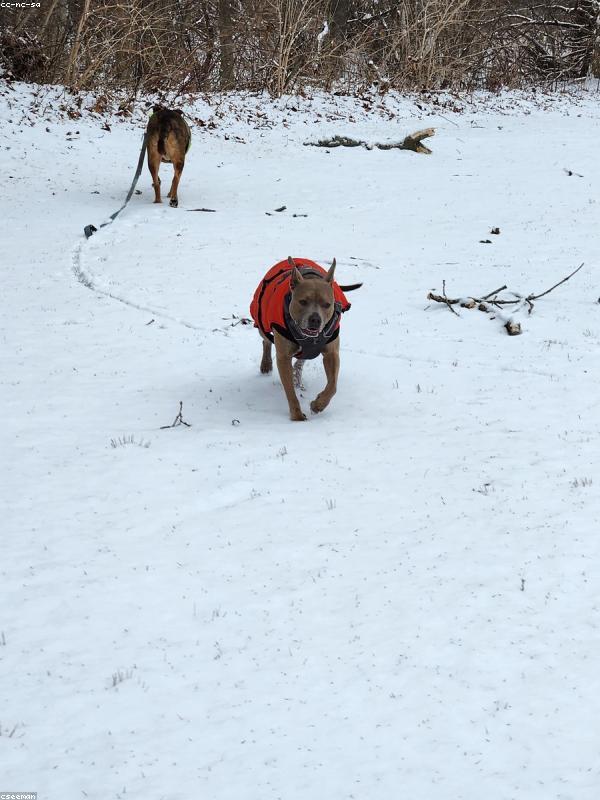 Ánh sáng đổ bóng