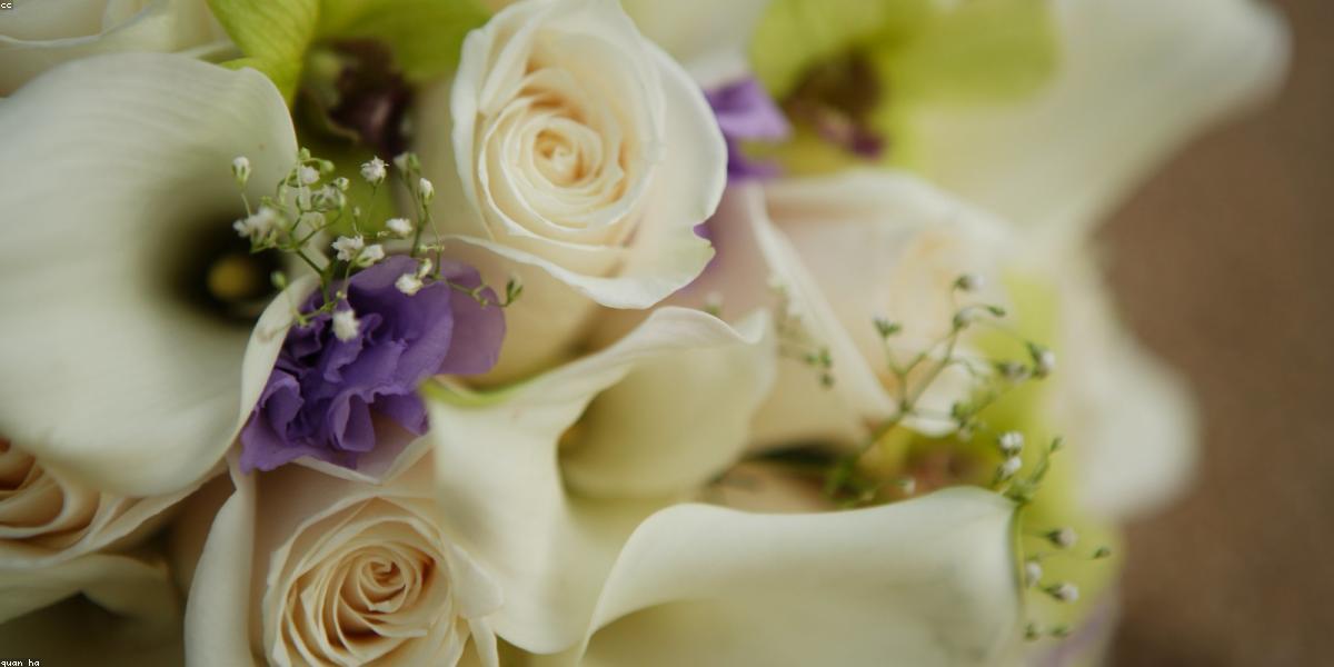 Minimalist Floral Design Hero