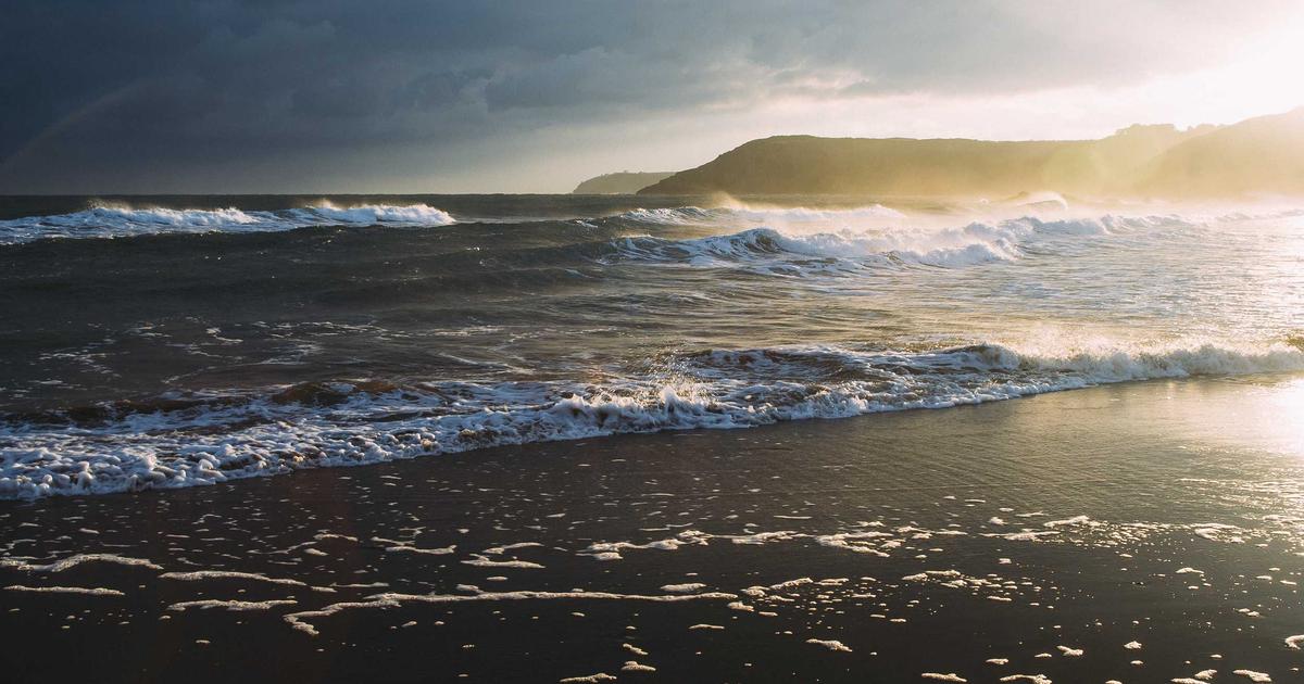 Hướng dẫn 5 bước xây dựng chương trình giáo dục chuẩn quốc tế dành cho cơ sở mầm non