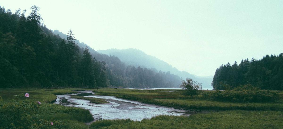 Emergency Scenario 2026