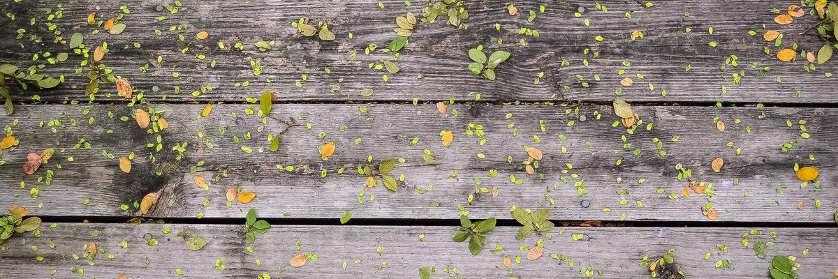 Enterprise Solutions