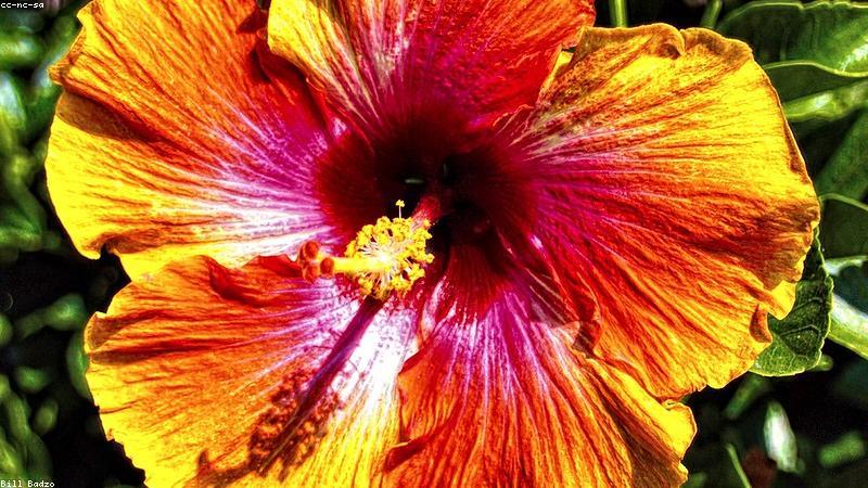 Thực phẩm tươi sống đa dạng