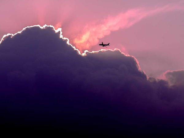 Công nghệ bảo tồn