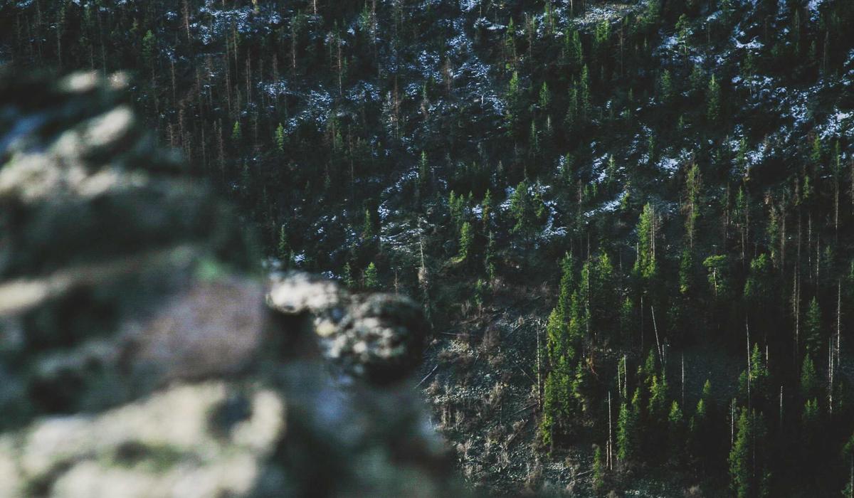 Personalized Genomics for Strength Training