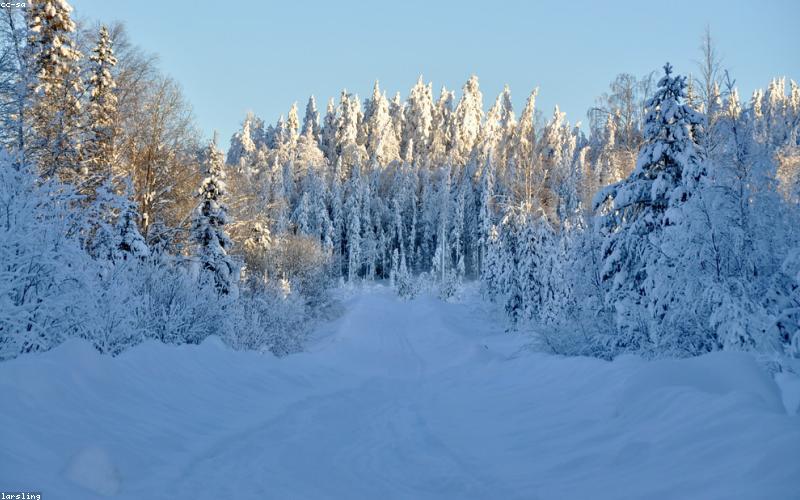 Future Tech Innovation