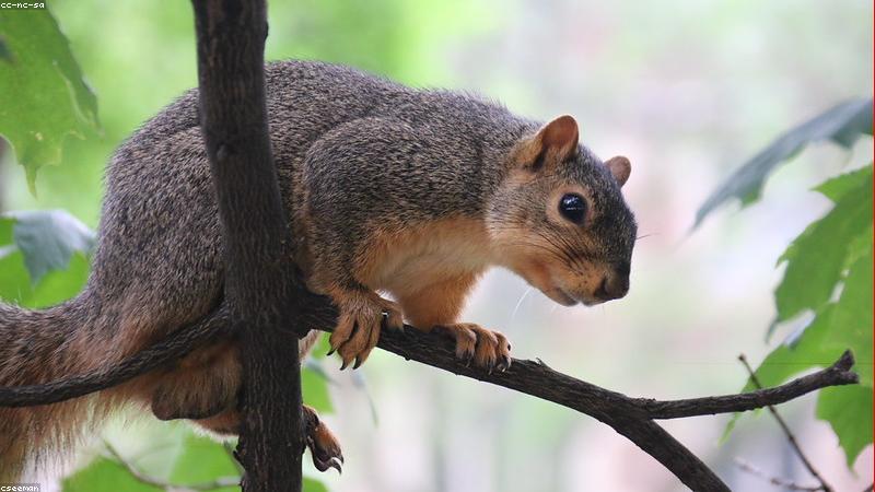 Trẻ em ăn uống vui vẻ