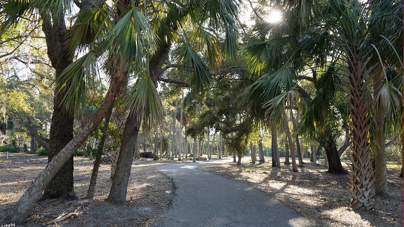 Financial Projection