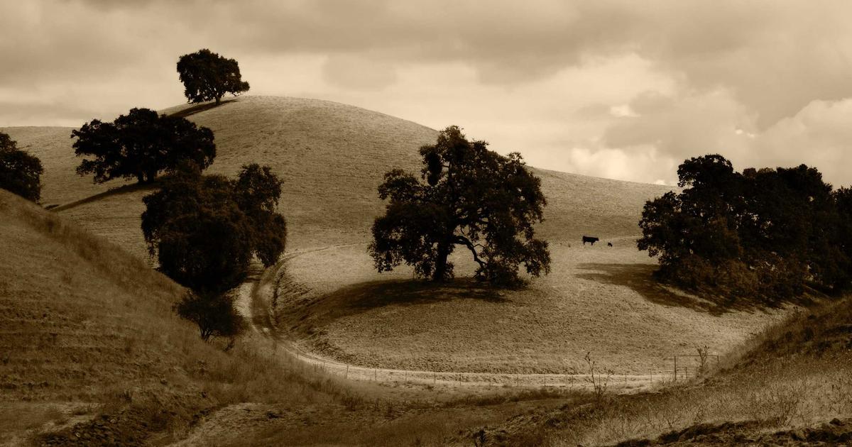 Phân tích: Lợi ích vượt trội khi sử dụng thiết kế website tự động bằng AI so với phương pháp truyền thống