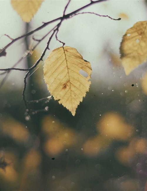 Sunscreen Innovation