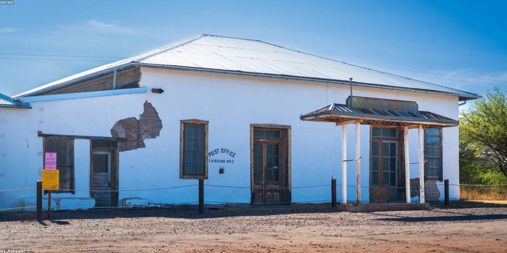 San hô bắt đầu hồi sinh rực rỡ