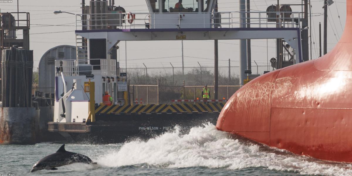 Sustainable Logistics Illustration