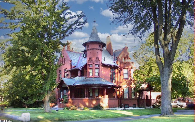 Rừng nguyên sinh tại Lâm Đồng nơi phát hiện loài lan mới