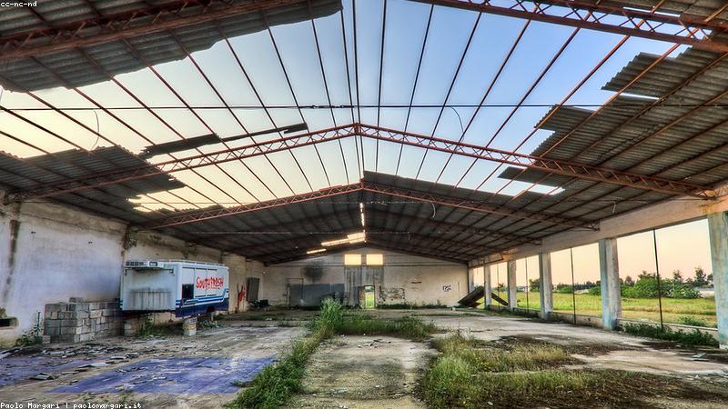 Giáo dục xanh và bền vững