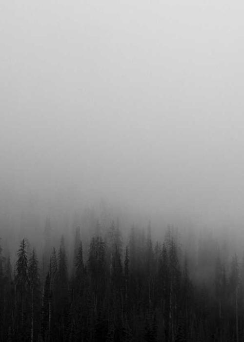 Intricate Embroidery