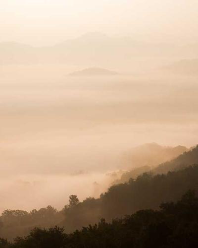 Nguyên liệu tươi