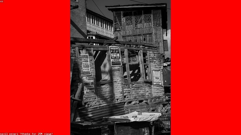 Rừng ngập mặn lúc hoàng hôn