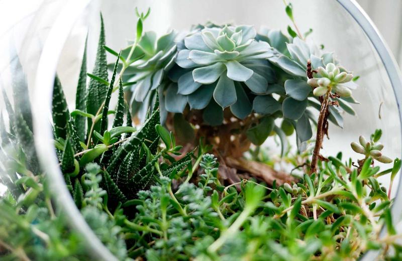 Social Media Community 2026