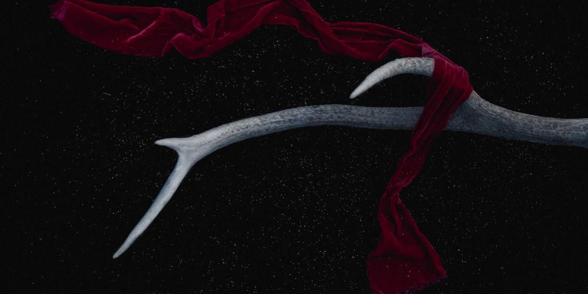 Thiết kế nội thất vali doanh nhân