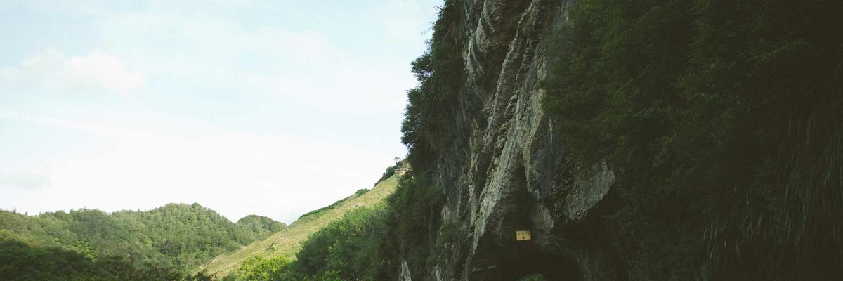 Nguyen Mai Anh Success Roadmap