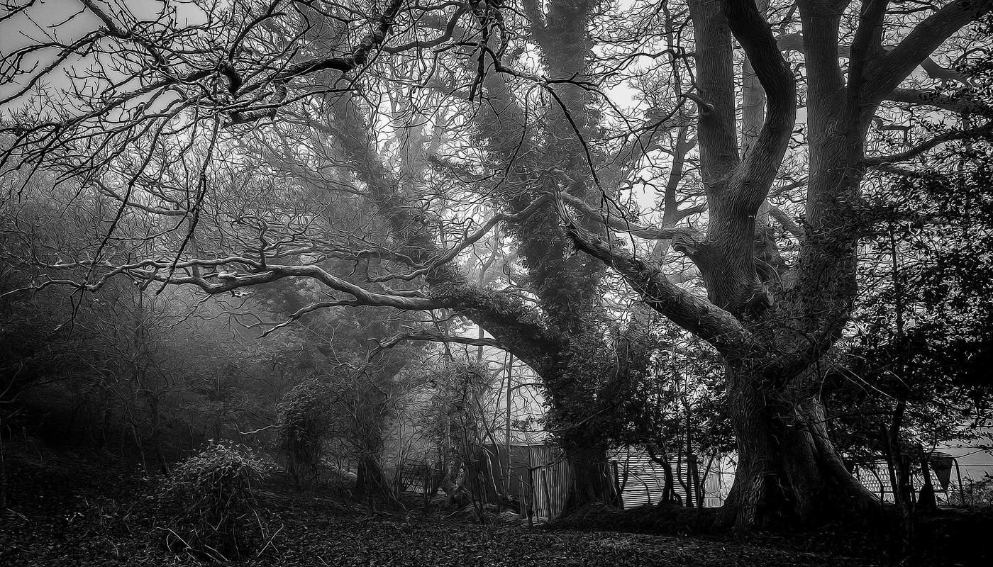 Haute Couture Interior 2026